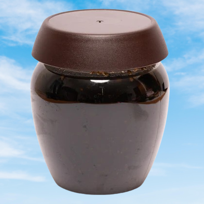 Garlic Soy Sauce